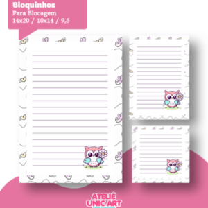 ✨ Trio Bloquinhos Corujinha